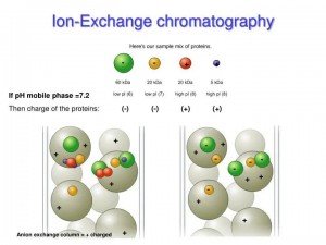 ionexchange