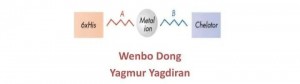 wenbo dong